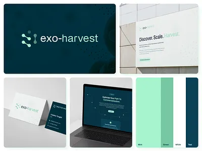Exo-Harvest Brand Identity bio biology brand brand identity branding clean dark graphic design green logo mint science simple tech visual identity