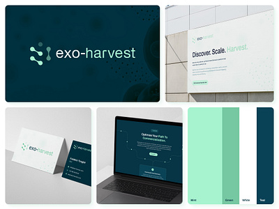 Exo-Harvest Brand Identity bio biology brand brand identity branding clean dark graphic design green logo mint science simple tech visual identity