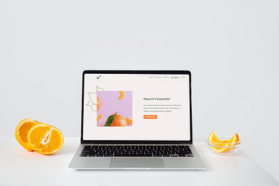 Nourrir l’essentiel — Web design & development branding divi graphic design logo ui ux website wordpress