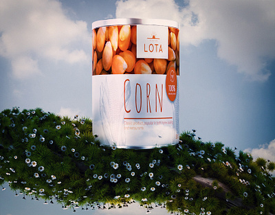 LOTA© — Brand Packaging System 3d animation branding design food graphic design label logo motion graphics packaging product