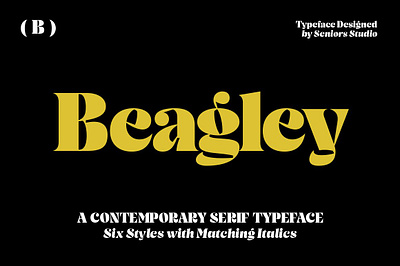 Beagley Display art deco blackletter bubble calligraphy display font high contrast humanist lettering old english optical variable outline sans serif serif font family signature fonts slab serif typewriter