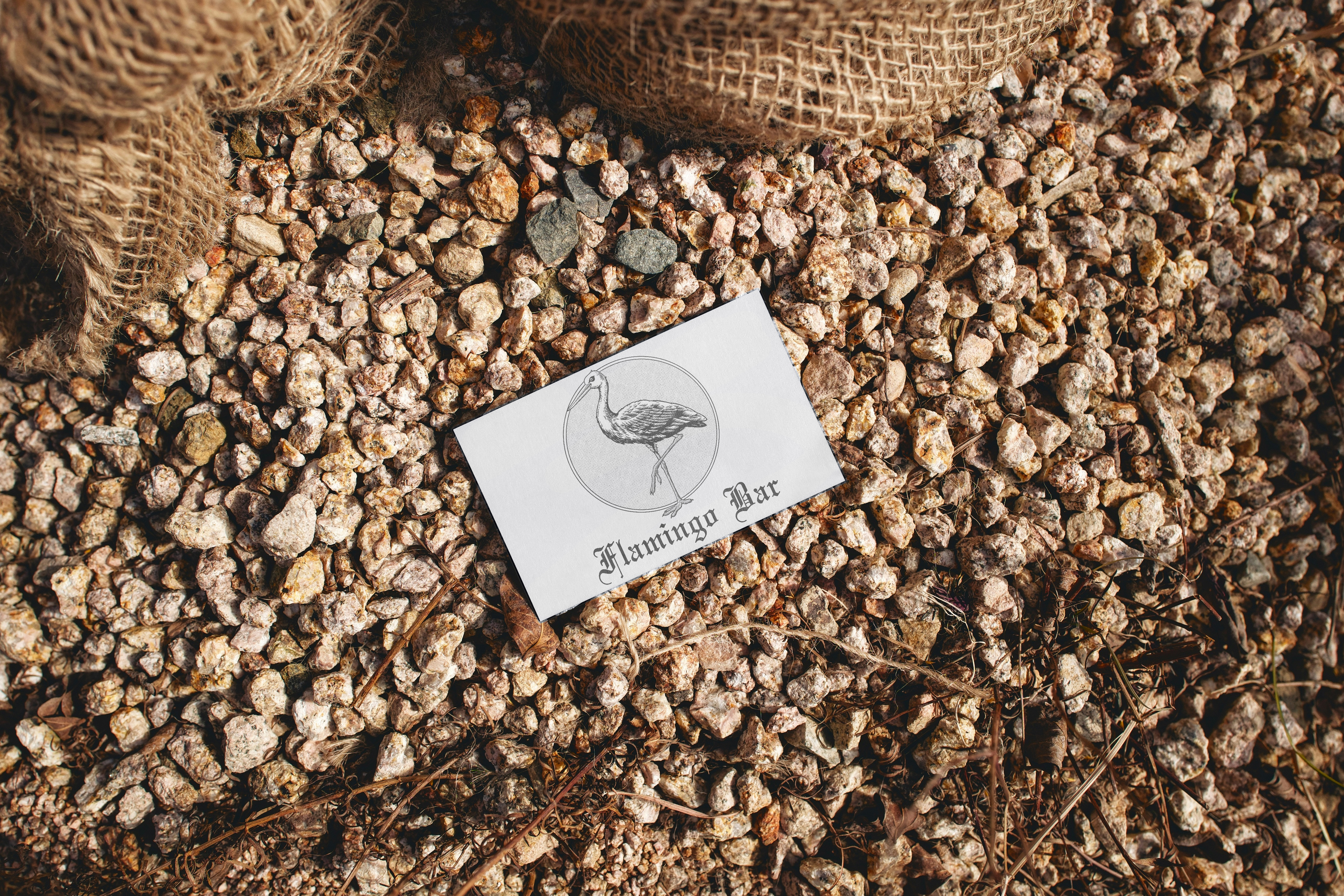 Example of Best Ilustrasi Engraving