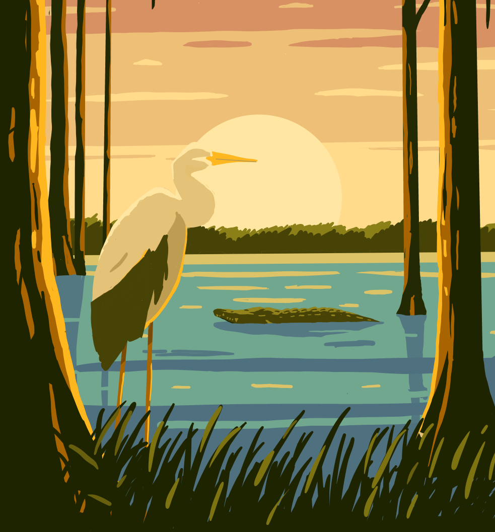 Everglades National Park – Retro Poster aligator america animal crocodile everglades forest hill illustration lake national park poster retro sunset usa vintage wild wildlife