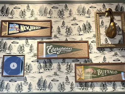 Evergreen Eye Care Logo Application brand design brand identity branding branding design flag hand drawn hand lettering identity design lettering logo logo design logo designer logotype retro script type typography vintage visual identity wordmark