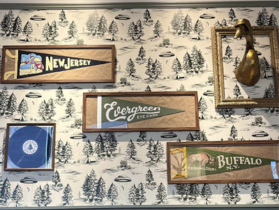 Evergreen Eye Care Logo Application brand design brand identity branding branding design flag hand drawn hand lettering identity design lettering logo logo design logo designer logotype retro script type typography vintage visual identity wordmark