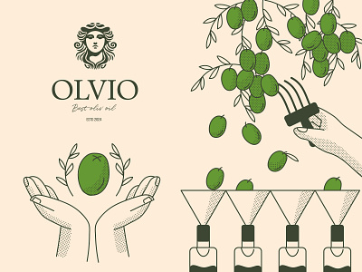Logo & Brand Illustration for premium olive oil 🍈 brand design brand designer brand guidelines brand identity brand identity design brandbook branding branding design design identity logo logo design logo designer logodesign olive oil oliveoil