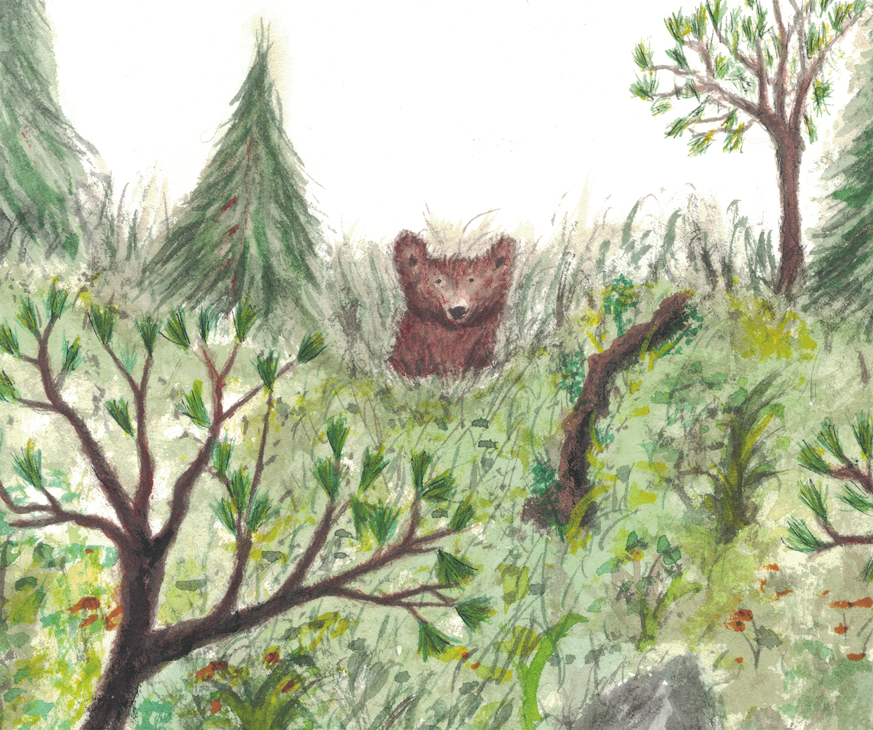 A Breakfast for Little Bear - Book Cover Art book cover childrens book illustrations illustration watercolor