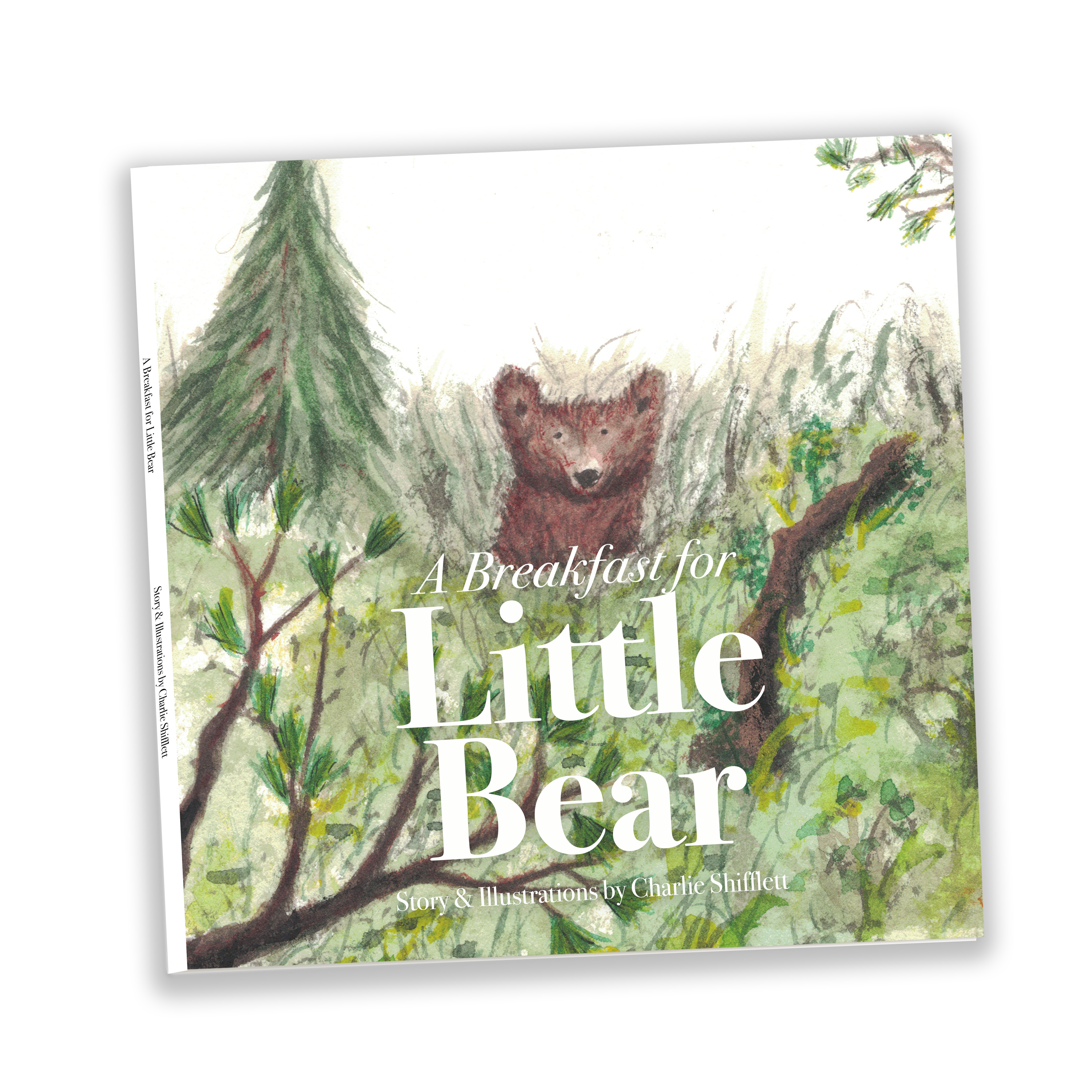 Example of Book Cover Art