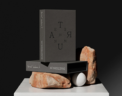 INAETERNUM - Brand Identity brand identity branding design graphic design identity logo visual identity