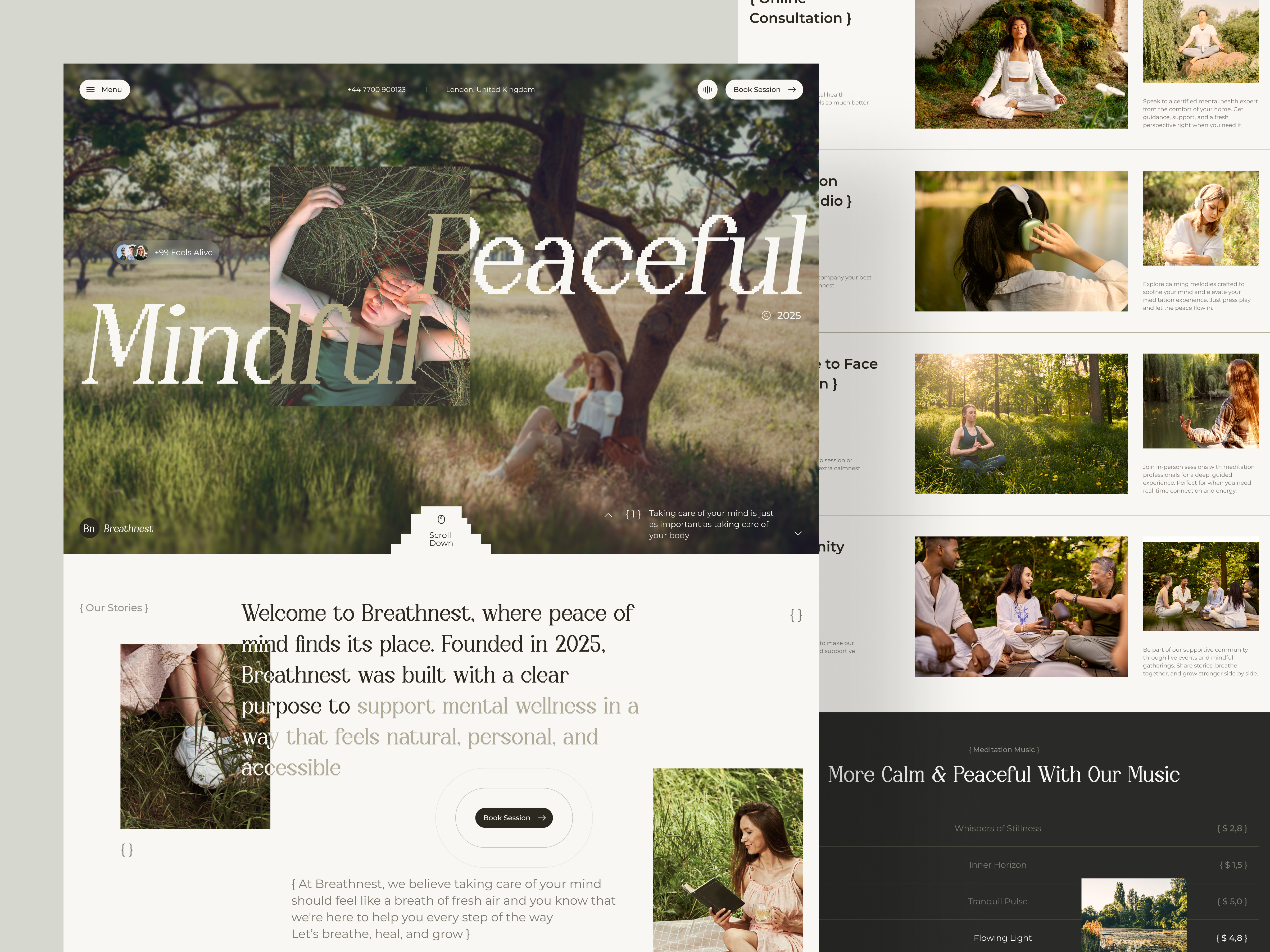 Breathnest - Mental Health Meditation Website consultant health healthcare landing page medical medical care meditation meditation website mental mental health mindfulness saas therapy ui uiux web design website website design wellbeing wellness