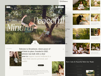 Breathnest - Mental Health Meditation Website consultant health healthcare landing page medical medical care meditation meditation website mental mental health mindfulness saas therapy ui uiux web design website website design wellbeing wellness