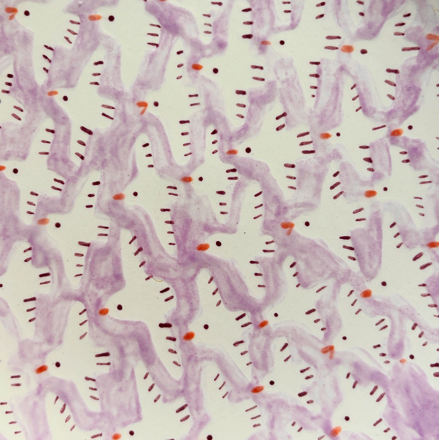 Seagull Pattern ceramic color design illustration pattern seagull texture