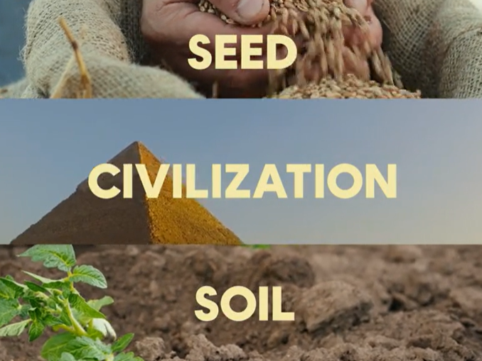 TYPOGRAPHY editing motio typography