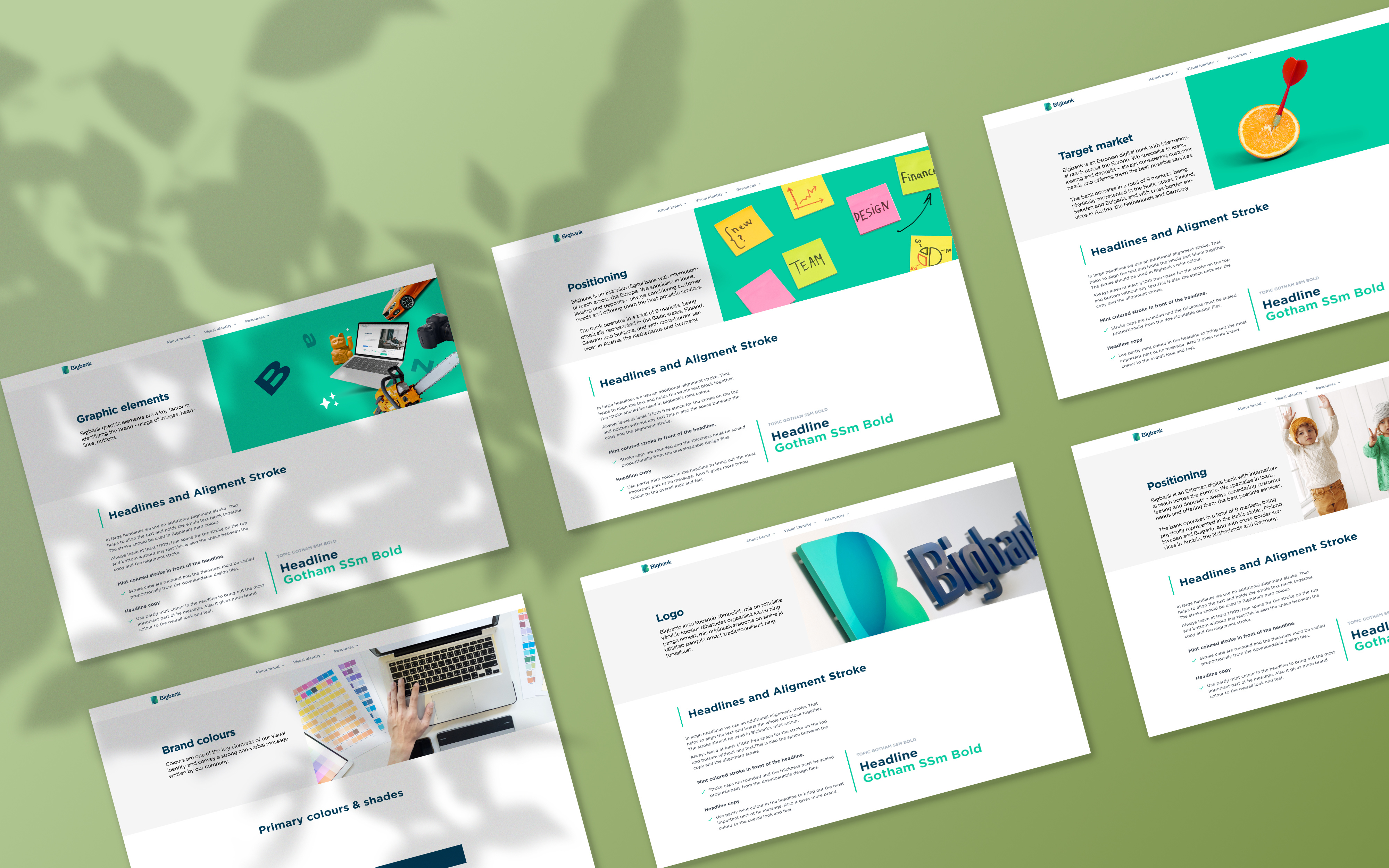 Big CVI branding graphic design illustration vector