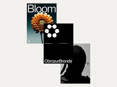Modern Brand Identity & Graphic Design art direction bloom brand identity branding branding design design digital design graphic design logo design modern design photography portfolio typography visual identity