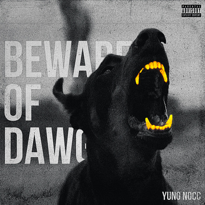 Album art design album art cover art design graphic design