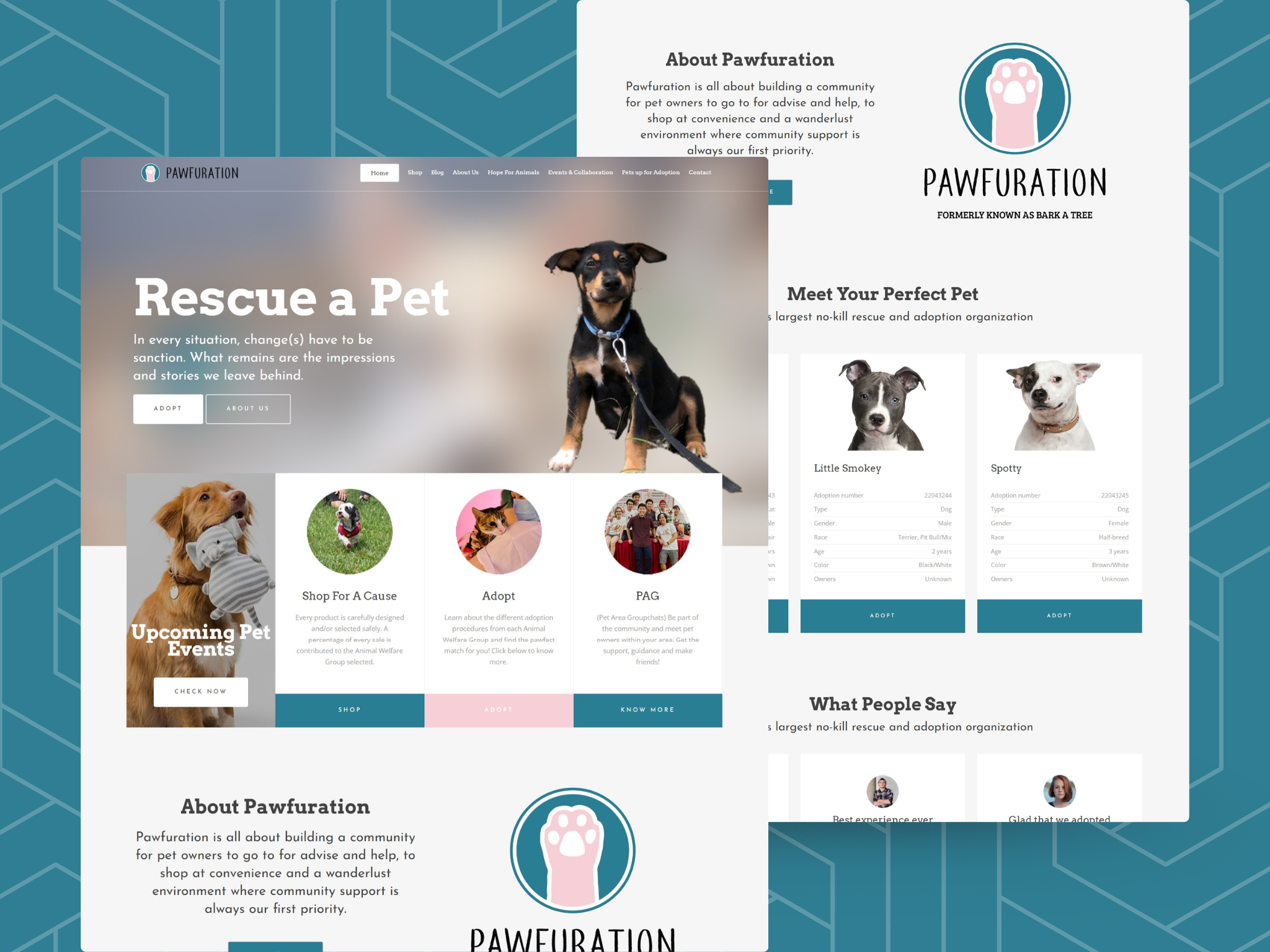 Example of Affordable Website Design With Templates