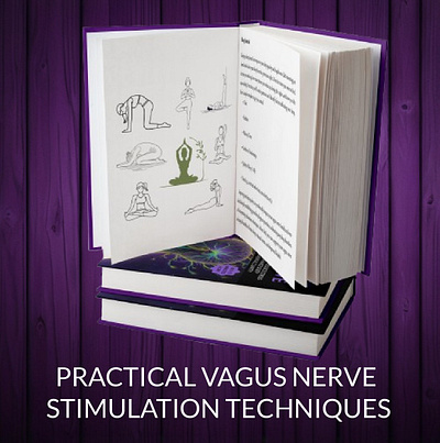 Vagus Nerve A+ content design calm clarity health guide holistic health mind body nerve healing nerve therapy self healing stress relief vagus nerve vagus nerve a content design wellness book