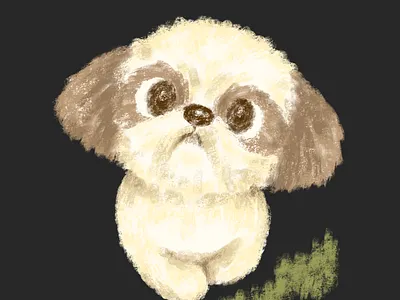 Shih Tzu puppy walking towards us animal character character design dog illustration pet puppy