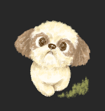 Shih Tzu puppy walking towards us animal character character design dog illustration pet puppy