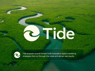 Tide - Innovative Digital Marketing Strategies agency branding business graphic design growth innovation logo marketing