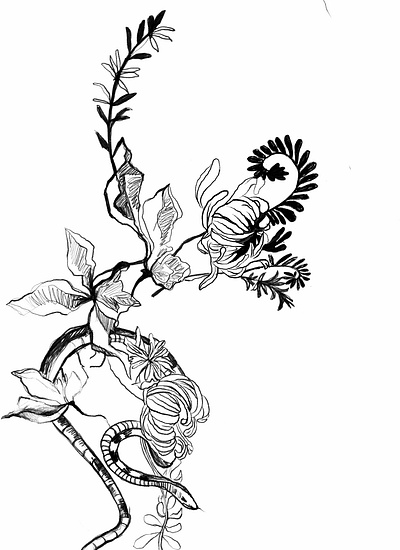 sketch random design