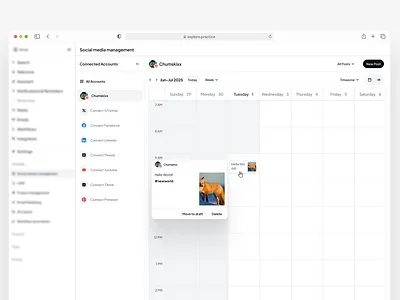 Social Media Management Webapp app design branding product design ui uiux web design