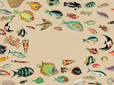 fish blanks #2 design fish graphic design illustration poster