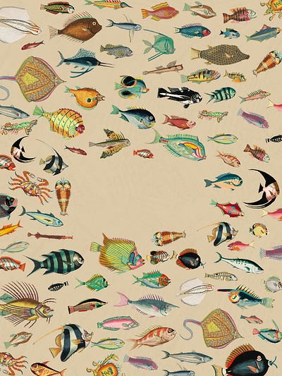 fish blanks #2 design fish graphic design illustration poster