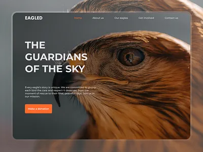 Eagle sanctuary hero section design animalsanctuary eagle graphic design herosection sanctuary uidesign website design