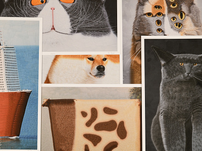 Prints cats collage dogs prints