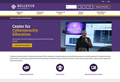 Bellevue Cybersecurity Hero branding design ui ux