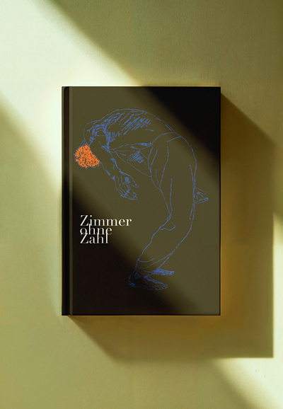 Bookcover Illustration book cover book design cover cover design graphic design illustration typografie