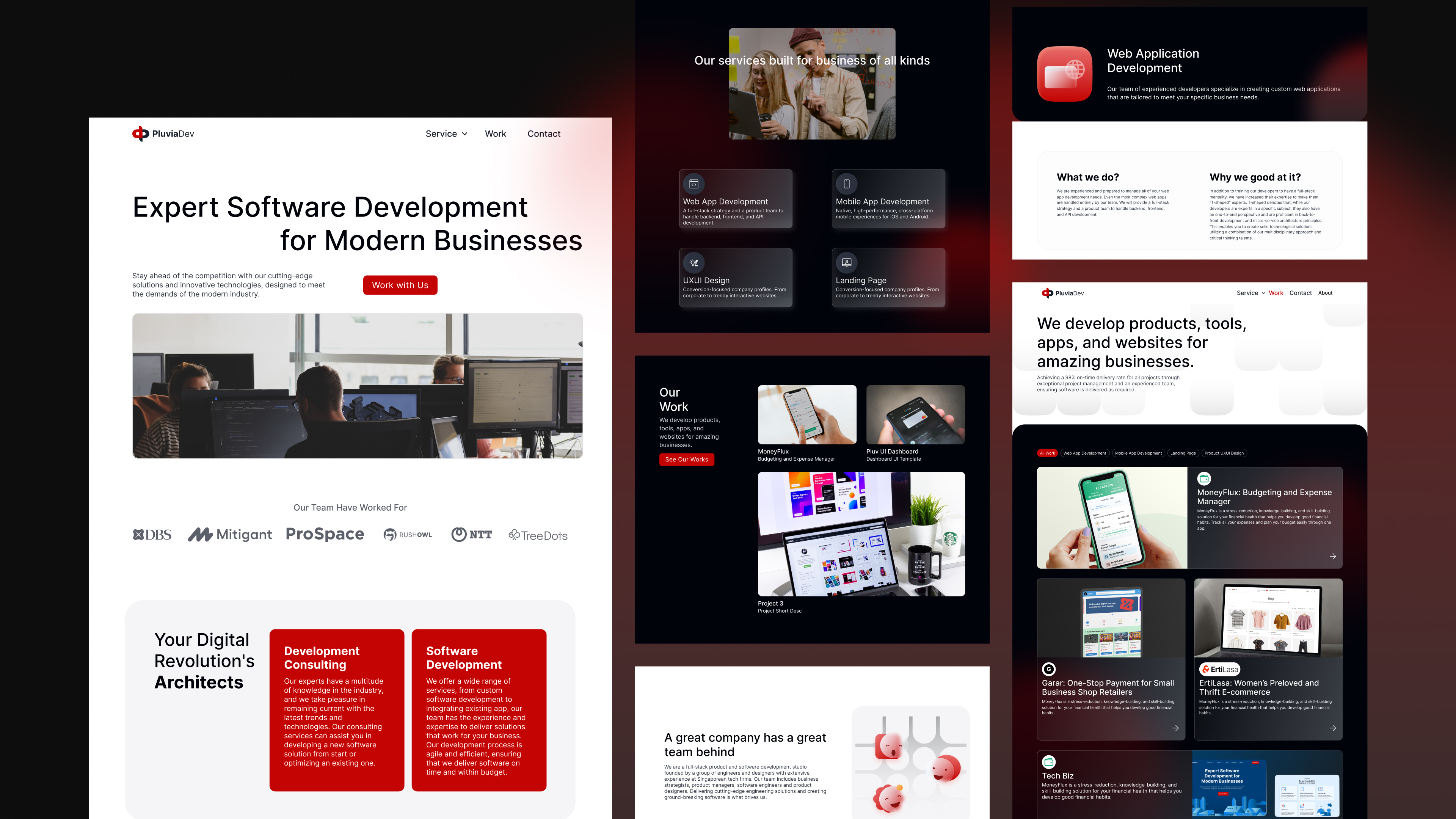 Example of Website Design & Development