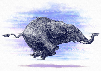 Run, Elephant, run animal caricature elephant illustration scratchboard