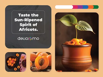 Organic Sundried Apricots Pouch Packaging Design apricot branding design discover dried persimmon chips figs graphic design organic organic apricot organic sundried figs packaging design persimmon pouch design pouch packaging design product packaging design typography uiux web design web development website design