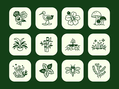Nature Doodle Icon Set botanical creative doodle eco forest green handdrawn icon illustration leaves lineart minimal natural nature organic outdoor plant sketch vector wildlife