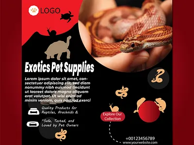 Exotic Pet Supply social media Ad Design, advertising design animation brand visuals brandidentity branding design graphic design illustration logo pet brand visuals ui