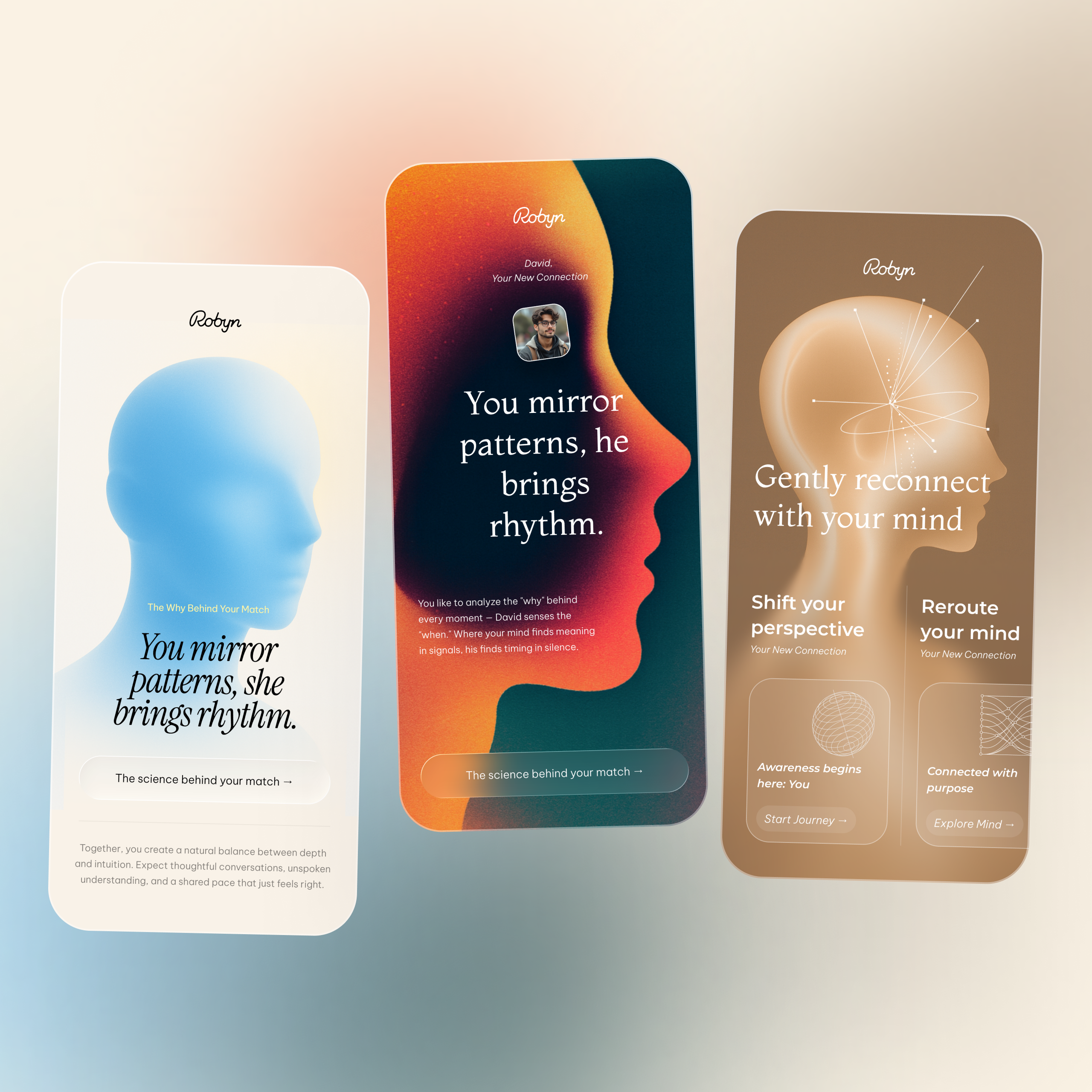 Example of Robyn Rebranding Explorations