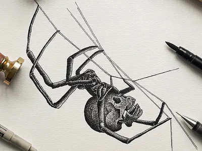 Skull Spider Custom Illustration black and white illustration design emblem design engraving illustration illustration ink pen pen and ink spider illustration skull spider spider drawing spider illustration spider ink tattoo illustration vintage illustration