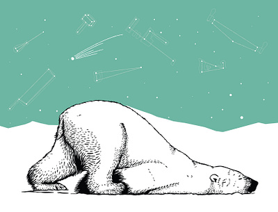 Woodcraft Polar Bear, 2025 arctic bear cold constellation constellations cute ice iceberg nature polar polar bear stars wildlife