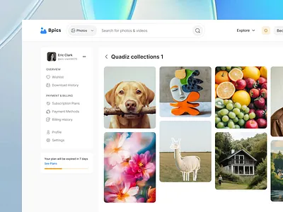 Image collection page. By Quadiz gallery image gallery photo photo collection photo gallery photo gallery ui ui unsplash user dashboard ux wishlist page ui