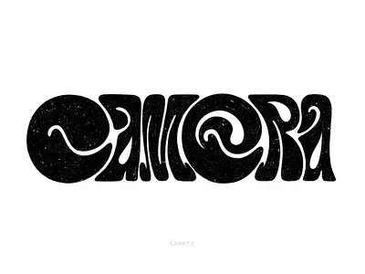 Camera Lettering branding calligraphy camera custom type customlettering customtype goodtype graphic design handlettered lettering letteringart logo logotype shooting type design typography typoster