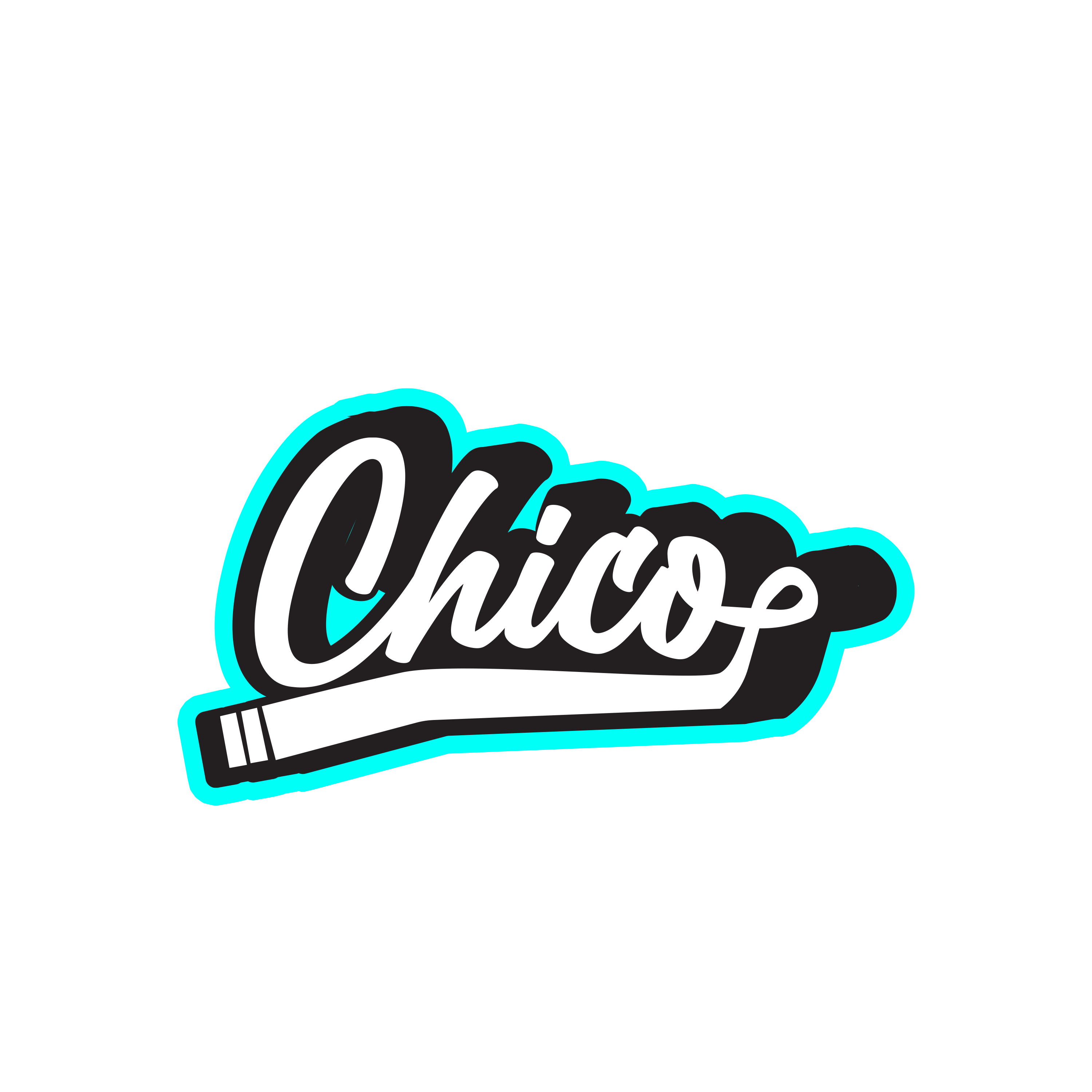 Example of Professional Custom Logo Design