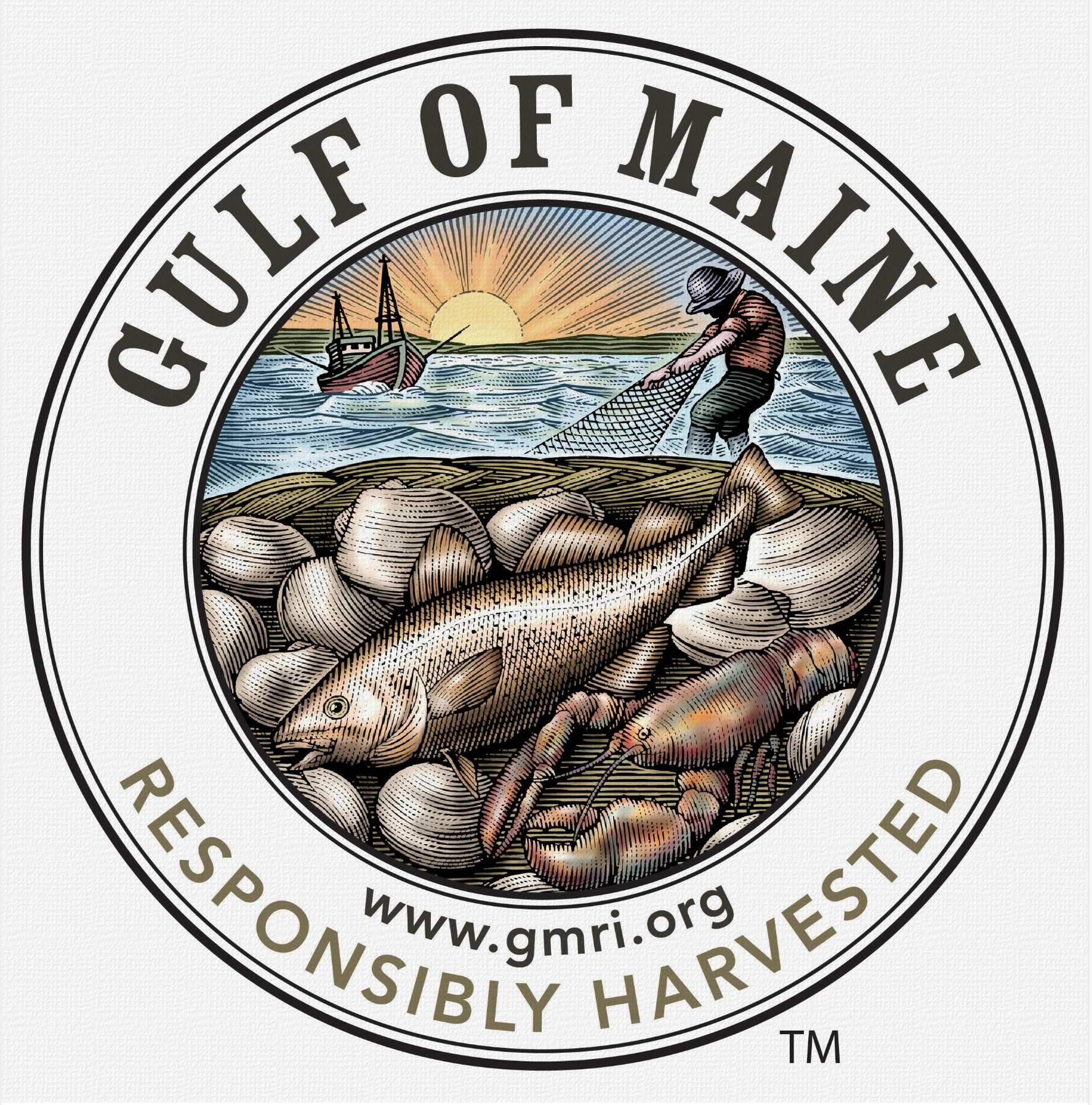 Gulf of Maine Research Institute Logo by Steven Noble artwork branding design engraving etching illustration line art logo scratchboard steven noble woodcut