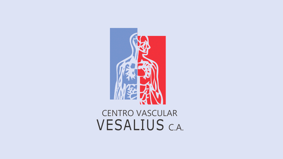 Logo Animation for Vesaluis animation animation logo branding graphic design logo logo animation motion graphics