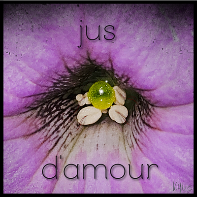 Petunia Jus D'amour branding design flower fun graphic design kylie earls kylie mcferrin logo petunia photography poster ui ux