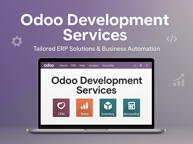 Example of Odoo Development Services
