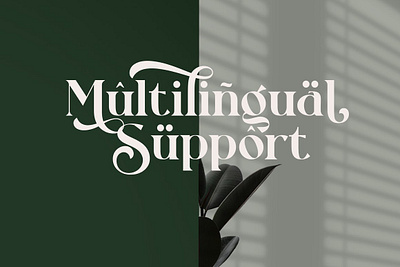 Rollgates Fabulous display font font logo font rollgates fabulous vintage