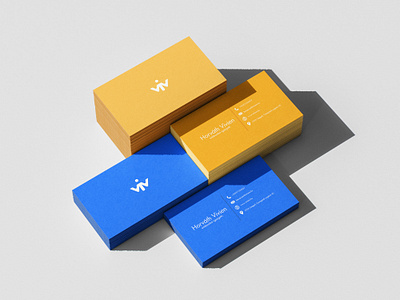 Project: Viviani branding graphic design logo